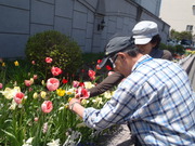 http://www.otaru-shakyo.jp/volunteer/upload/2013/06/P5260226-thumb.JPG